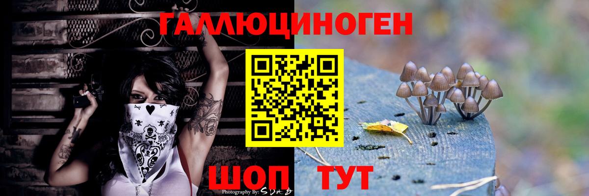 Псилоцибиновые грибы Magic Shrooms  Вход с VPN  Псилоцибиновые грибы Magic Shrooms  Юрга 